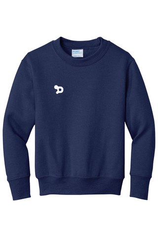 Youth D Sweatshirt