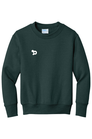 Youth D Sweatshirt