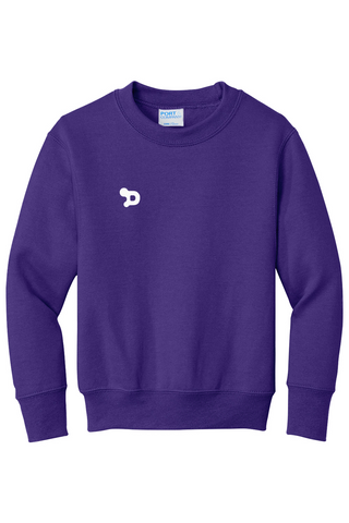 Youth D Sweatshirt