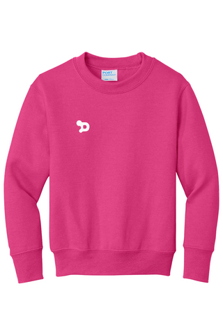 Youth D Sweatshirt