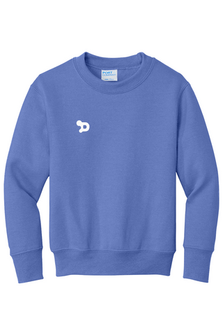 Youth D Sweatshirt