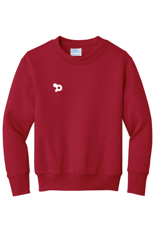 Youth D Sweatshirt