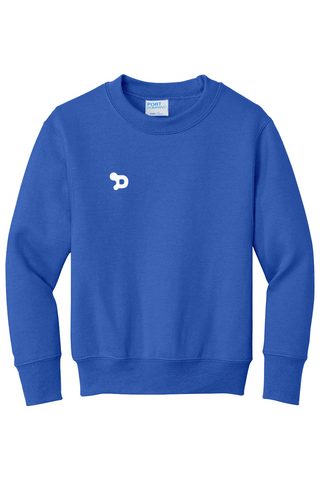 Youth D Sweatshirt