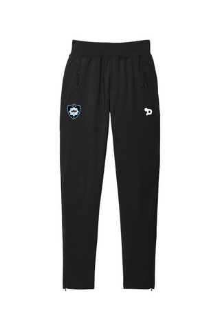 Skyline FC Circuit Jogger - Training