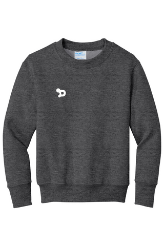 Youth D Sweatshirt