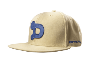 Big D Snapback - Free D