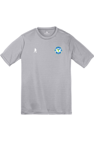 T2S Lions Training Tee
