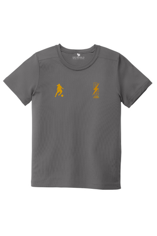 DC Flash Youth Posi-UV Pro Tee
