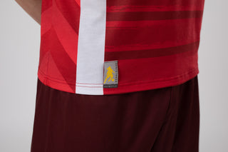 Ronaldinho Denmark Jersey/Camisa