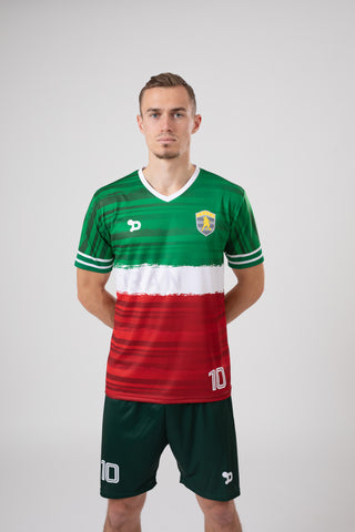 Ronaldinho Iran Jersey/Camisa Replica