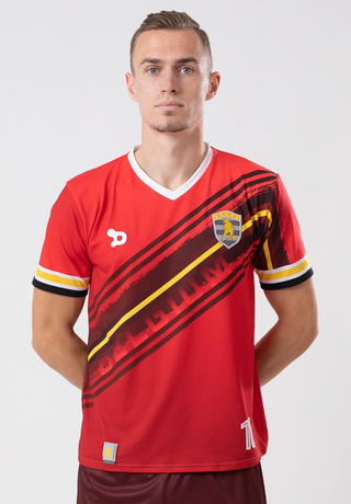 Ronaldinho Belgium Jersey/Camisa